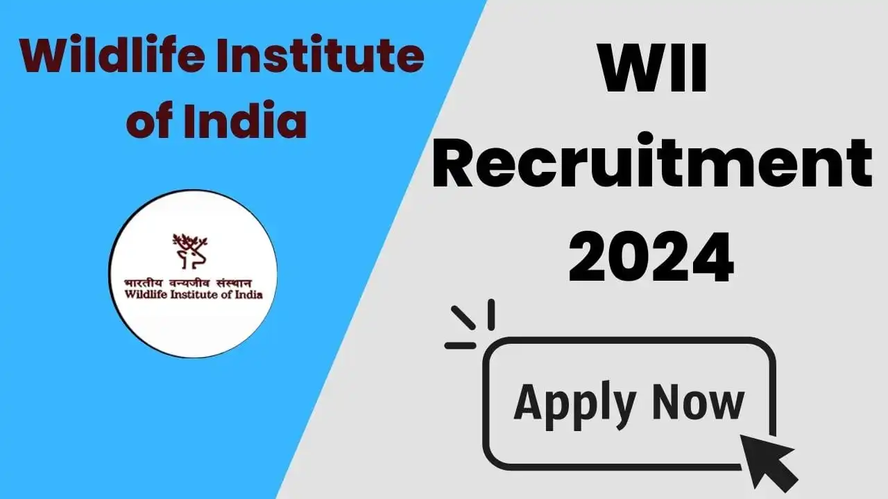 WII Recruitment 2024